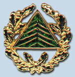 Träger der Goldenen Ehrennadel des Verbandes