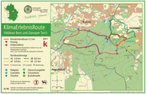 3) Naturwanderung auf dem KlimaErlebnisWeg Hiddeser Bent / Donoper Teich